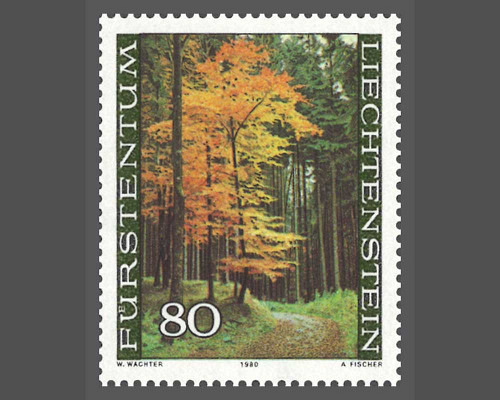 The forest in the four seasons
