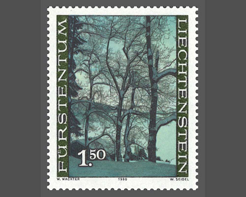 The forest in the four seasons