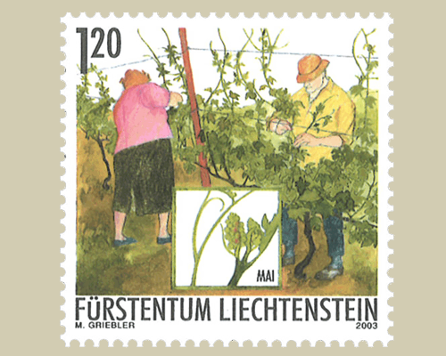 Das Jahr des Winzers: Winzerarbeit im So