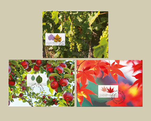 Mathématiques - Cartes maximum - MK 360