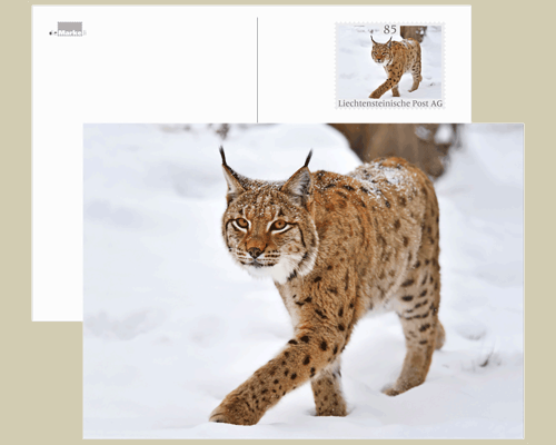 Bildpostkarte: Lebensraum Alpen