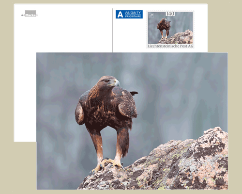 Bildpostkarte: Lebensraum Alpen