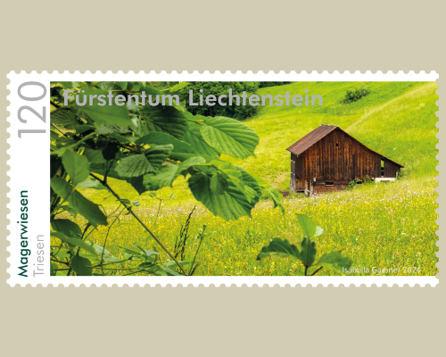 Panorama - Natural Meadows