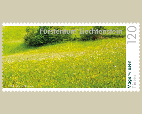 Panorama - Natural Meadows