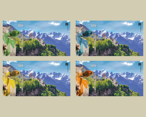 Gift set: "Crypto CHLI"