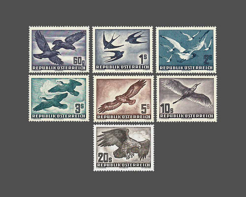 Airmail - Native bird life in the city a