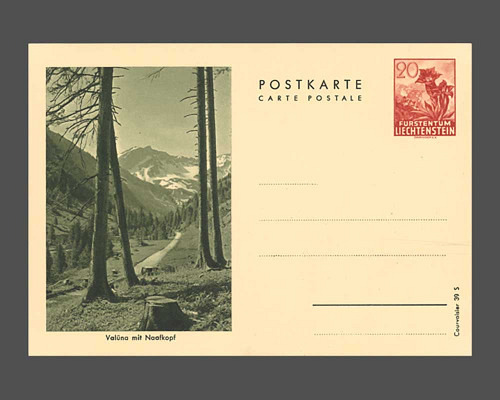 Postkarte: Enzian