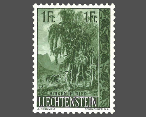 Einheimische Bäume und Sträucher - I