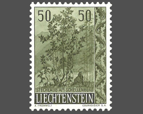 Native trees and shrubs - II