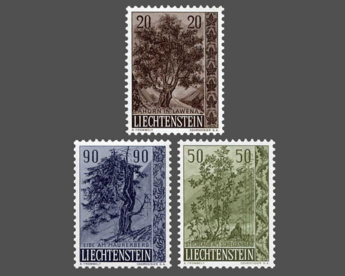 Native trees and shrubs - II