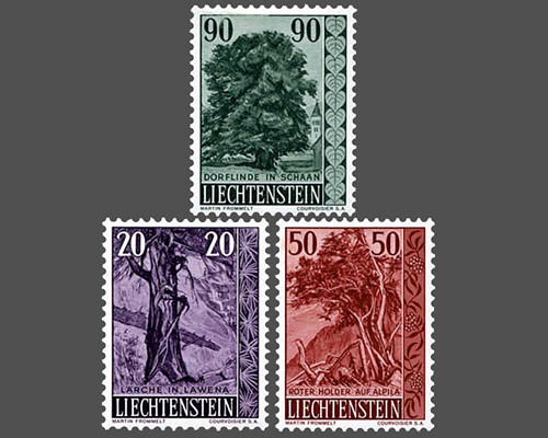 Heimische Bäume und Sträucher - III