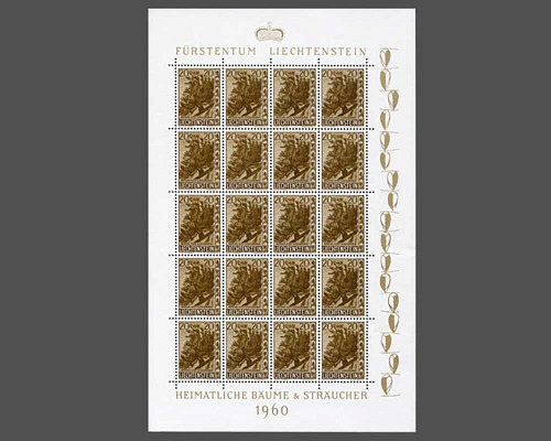 Native trees and shrubs - IV