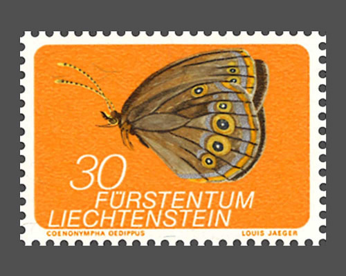 Kleinfauna aus Liechtenstein - l