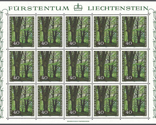 The forest in the four seasons
