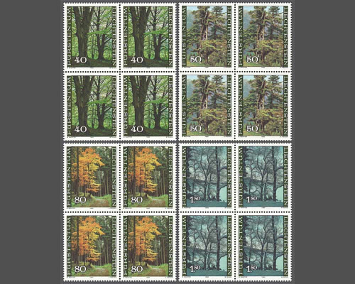 The forest in the four seasons