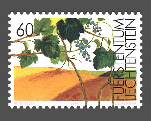 The vine in the seasons