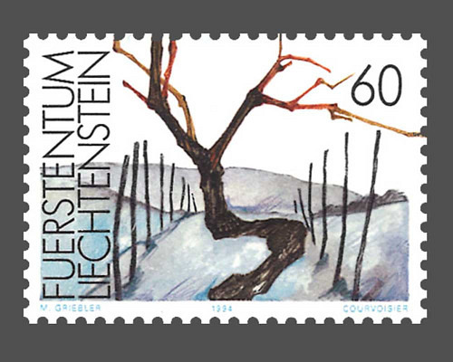 The vine in the seasons