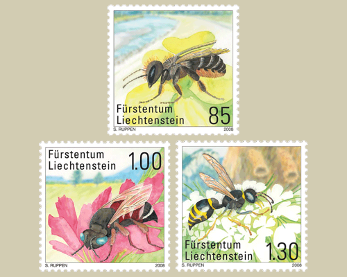 Rare bees and wasps in Liechtenstein