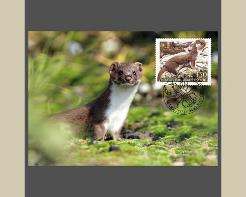 Europa – Endangered Wildlife