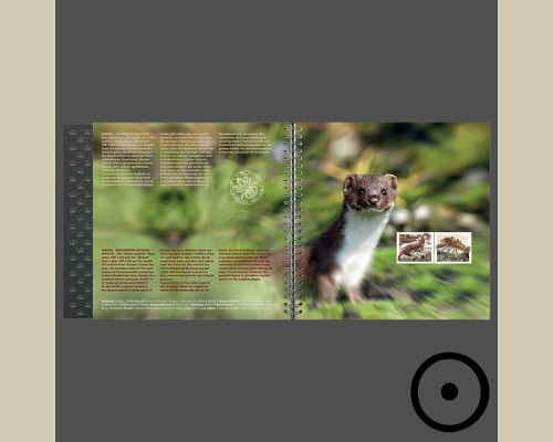 Yearbook 2021 cancelled o