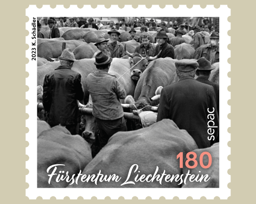 Sepac - Traditional Markets