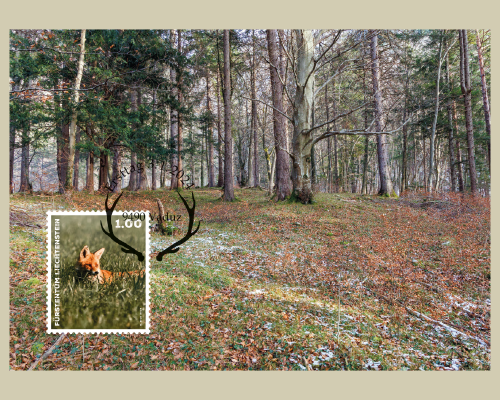Wild Animals in Liechtenstein