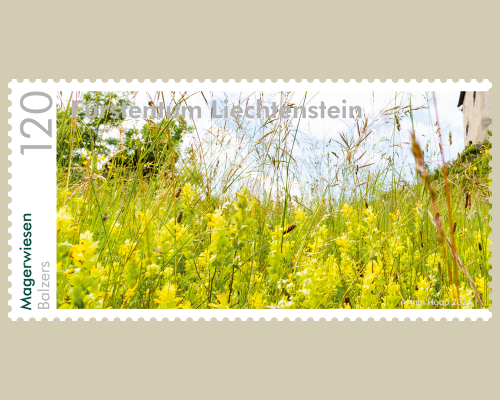 Panorama - Natural Meadows