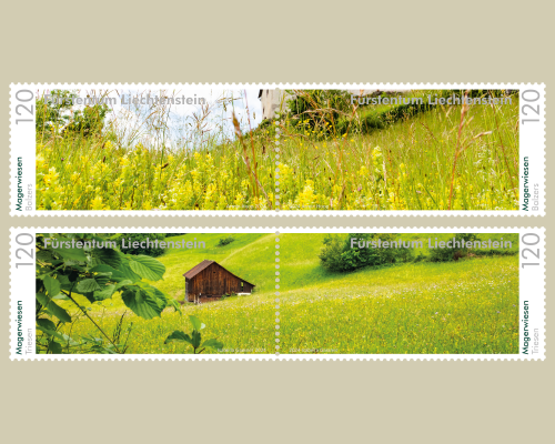 Panorama - Prairies maigres