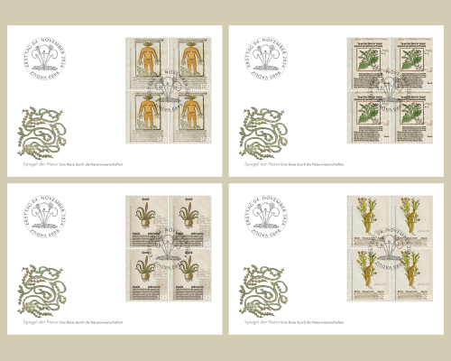 Mirror of Nature - A Journey Through the