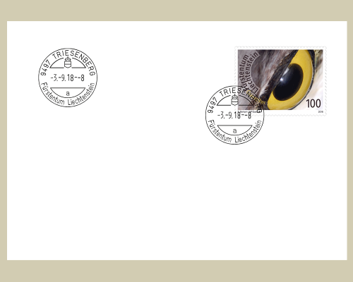 Special Cover  Ersatz Datumstempel Trie