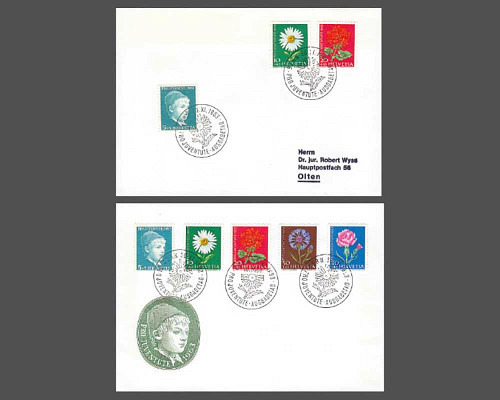 Knabenbildnis, Wiesen- und Gartenblumen