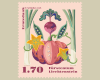 Image 2 de 5
