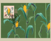 Image 3 de 5